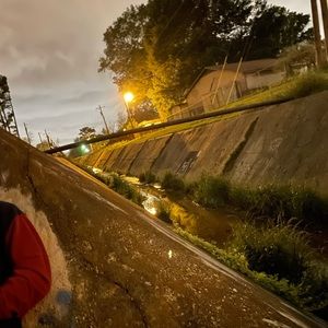 Meet your Posher, Rex